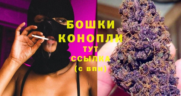 шишки Арсеньев