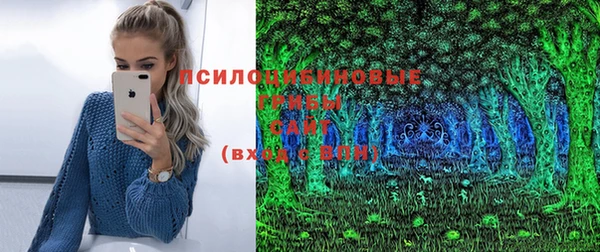 шишки Арсеньев