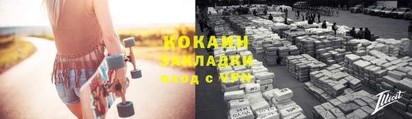 шишки Арсеньев