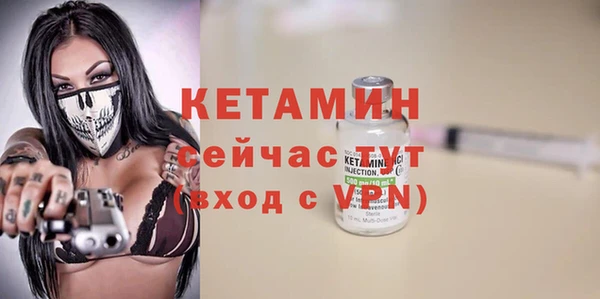 шишки Арсеньев