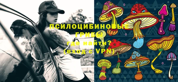ECSTASY Осинники