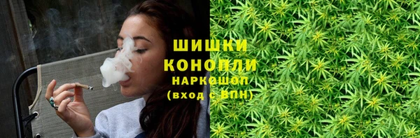 шишки Арсеньев