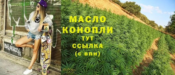 шишки Арсеньев