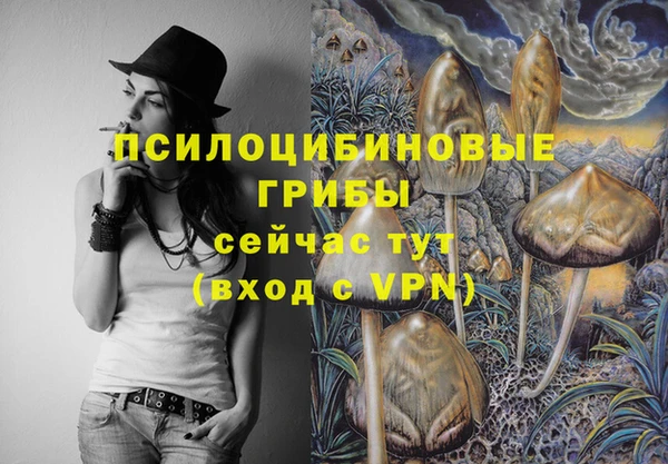 шишки Арсеньев