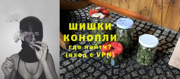 шишки Арсеньев