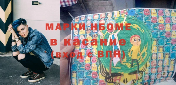 шишки Арсеньев