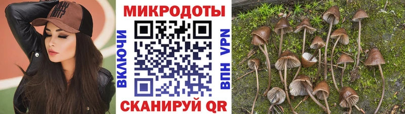 Галлюциногенные грибы мицелий  Аркадак 